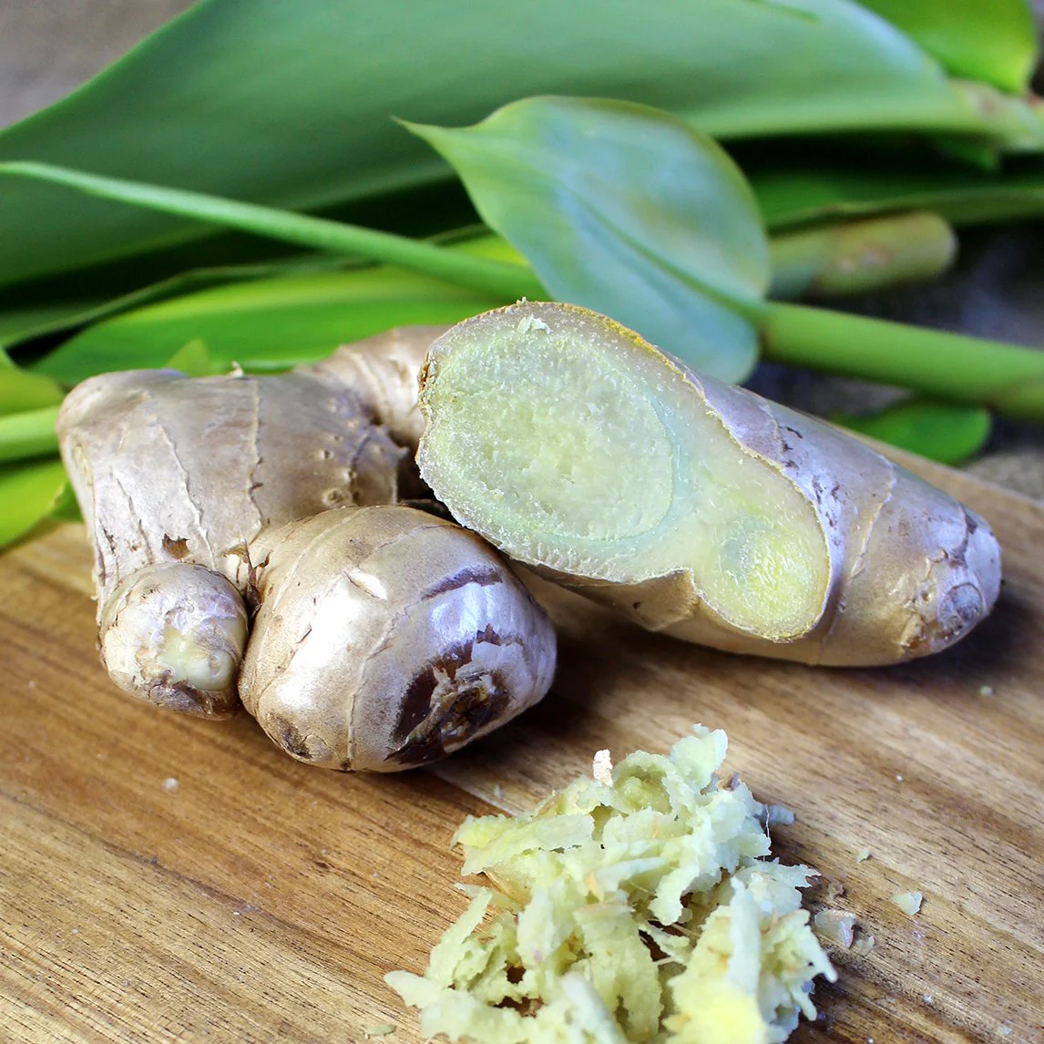 Fresh organic ginger from Amamoor Creek
